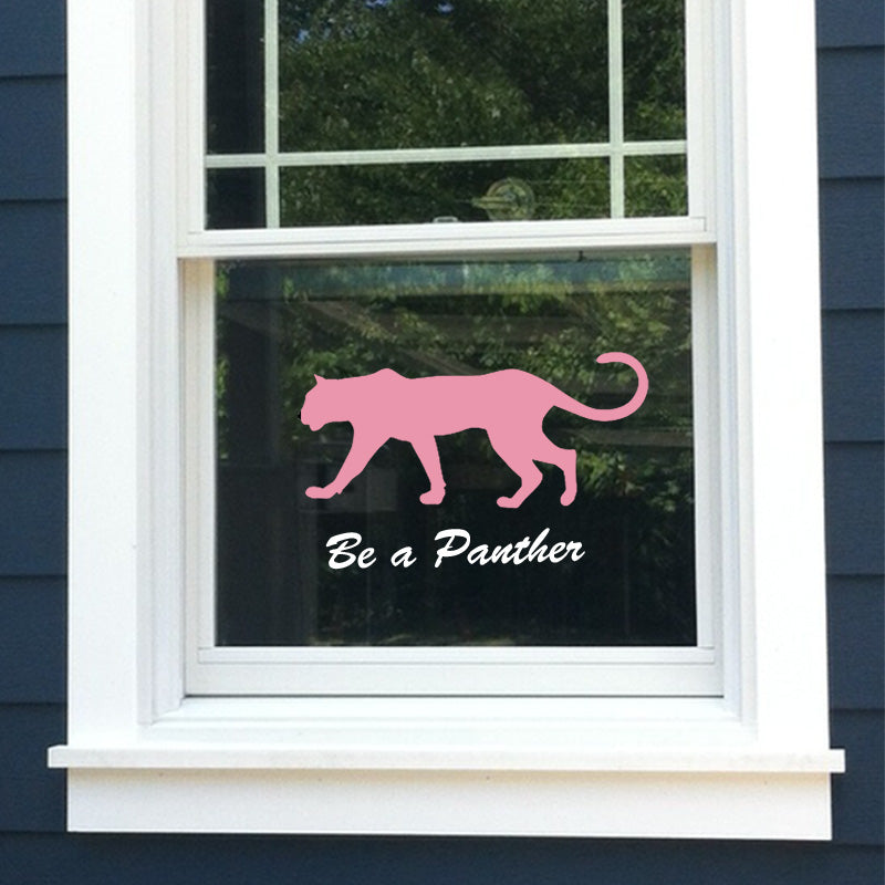 Siser EasyPSV Starling