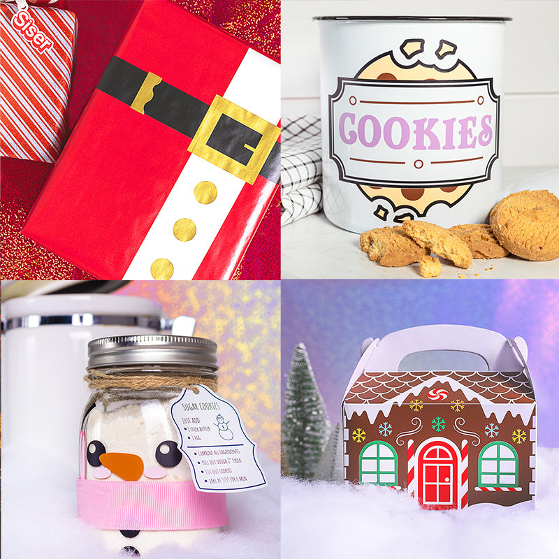 Siser EasyPSV Starling