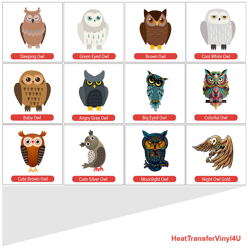 Owl Theme PAC HTV (4")