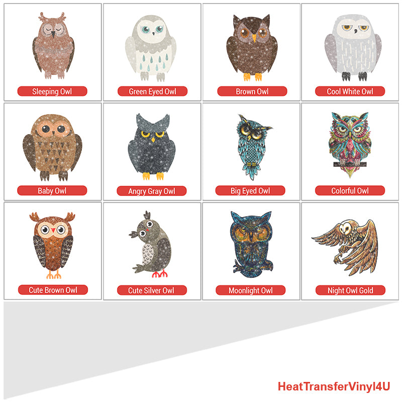 Owl Theme PAC Glitter HTV (4")