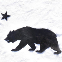 Cali Bear Plush HTV (14" x 8")